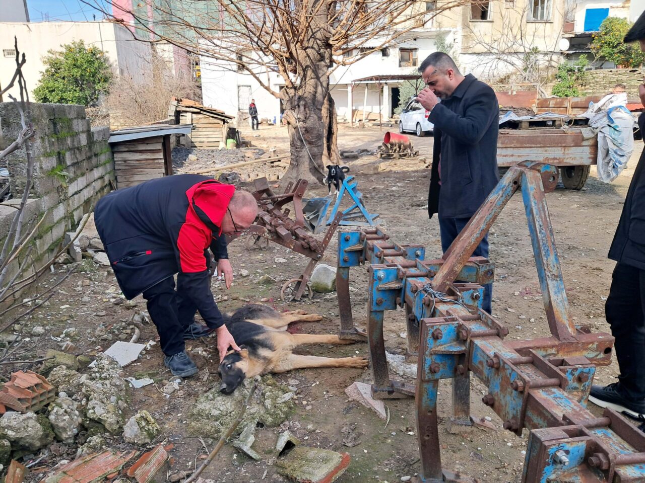 Antalya 'da hayvanlarına zarar verdiğini belirterek köpeği av tüfeğiyle vurdu
