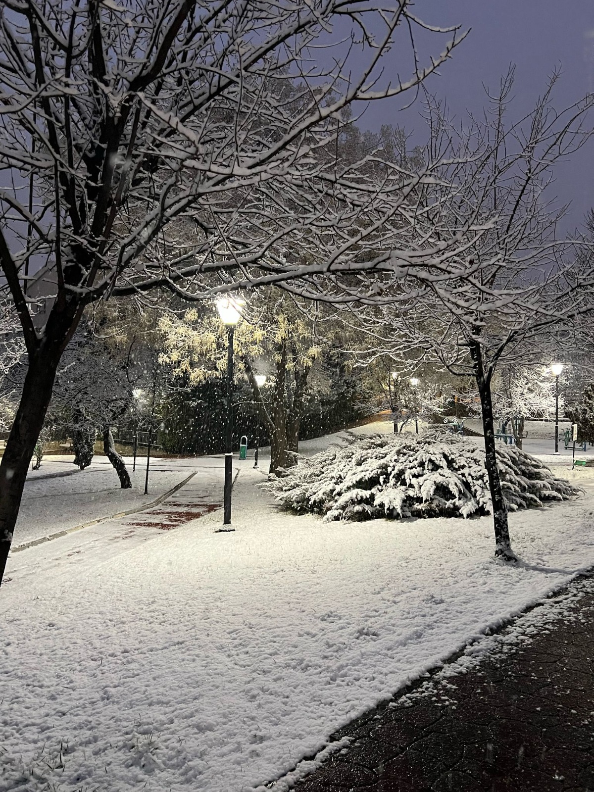 Ankara'da akşam saatlerinden itibaren başlayan kar yağışı etkili olmaya başladı. Fotoğraf: Ankara, (DHA)