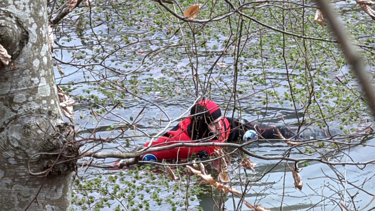 Belgrad Ormanı'nda kaybolduğu düşünülen Ece Gürel'in eşyaları bulundu